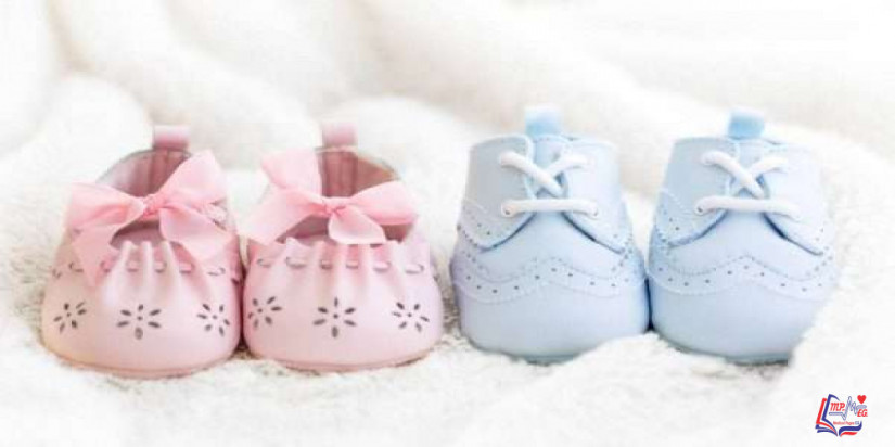 كيف تحديد نوع الجنين