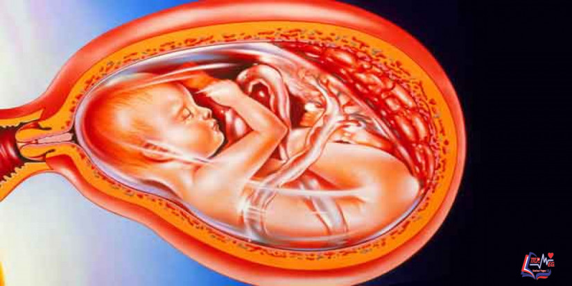 تشخيص الامراض الوراثية عند الجنين أثناء الحمل