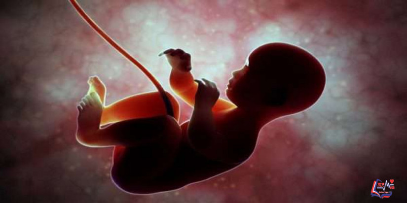 ما هو سبب تشوه الجنين