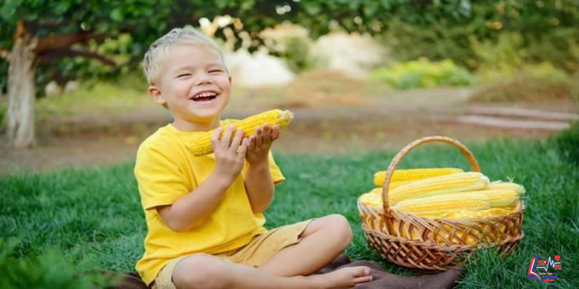 فوائد الذرة للاطفال .. طعم رائع ومغذيات هامة لطفلك