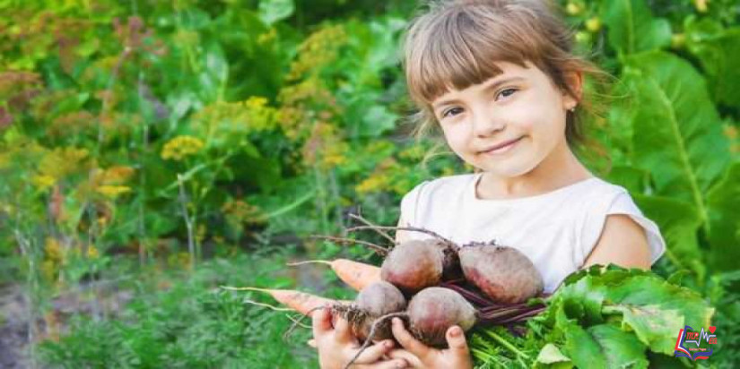 فوائد البنجر للاطفال .. الشمندر من الخضروات الجذرية المغذية