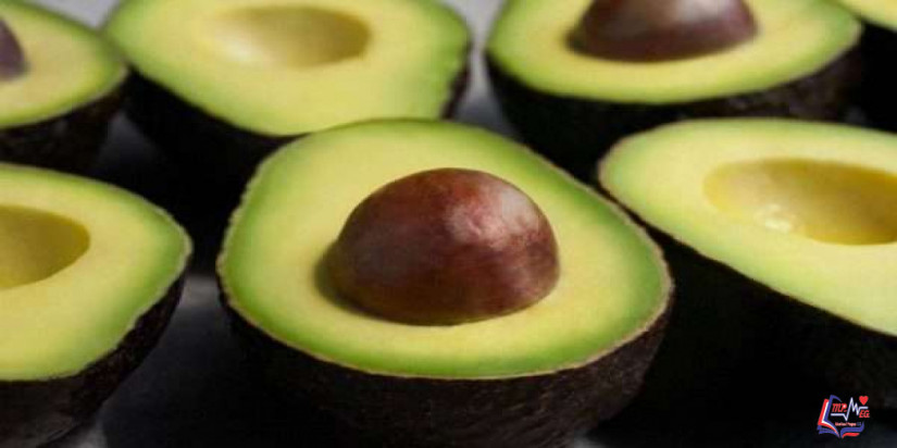 فوائد الافوكادو للاطفال .. الأفوكادو هام لعيون وعظام وتفكير طفلك