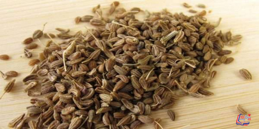 فوائد اليانسون للرضع .. تعرف على حقيقة فوائد اليانسون للاطفال !