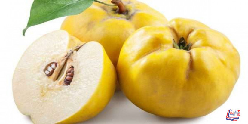 فوائد السفرجل لمرضى السكري