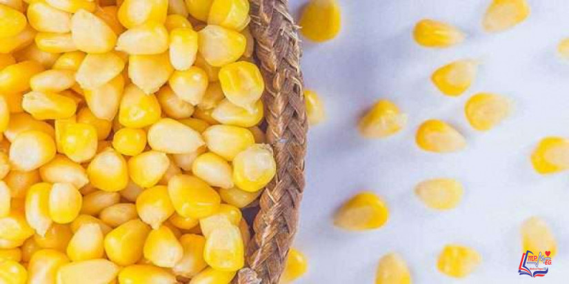 فوائد الذرة لمرضى السكري