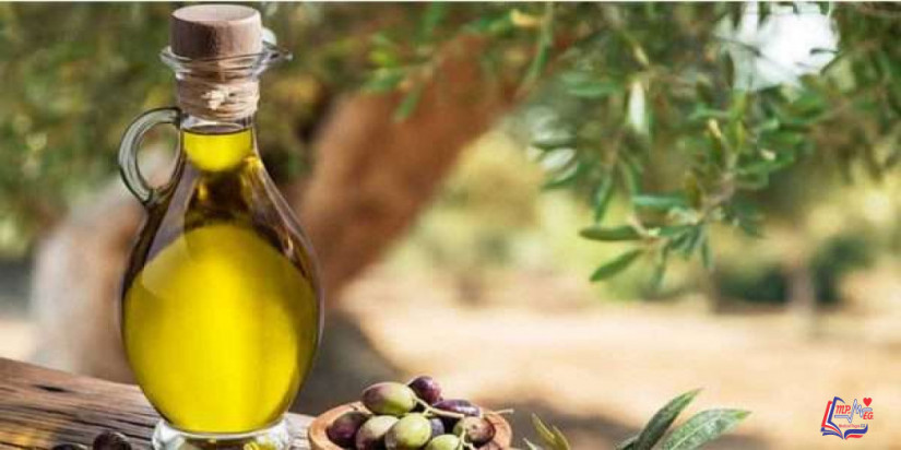فوائد الزيتون لمرضى السكري
