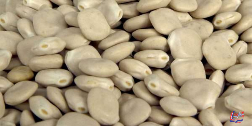 فوائد الترمس للسكري