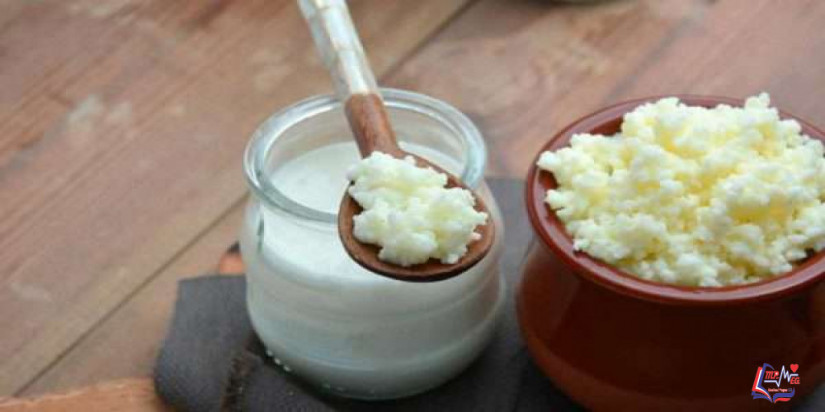 فوائد الفطر الهندي لمرضى السكري