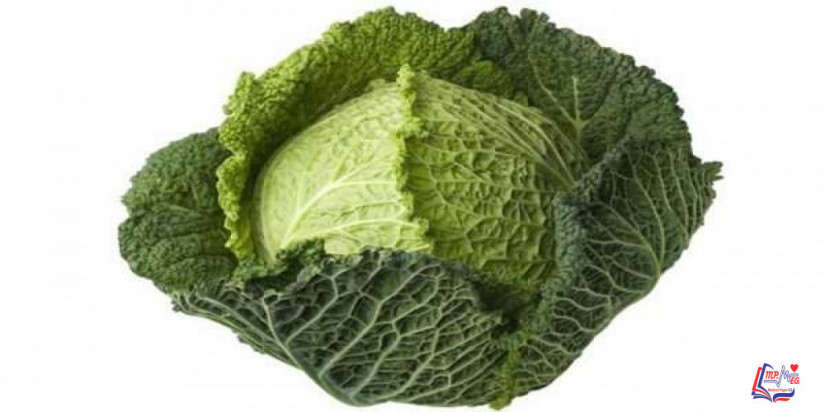 الملفوف يقي من سرطان الثدي