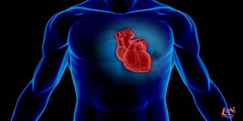 تضخم القلب وعلاجه