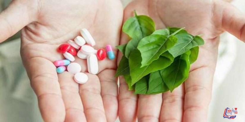 أهمية الفيتامينات