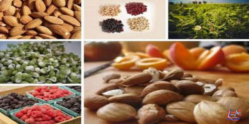 مصادر فيتامين ب17