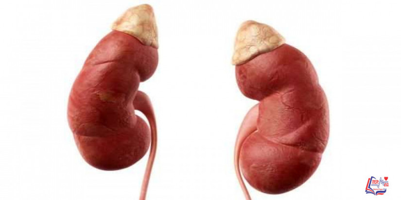 متلازمة كوشينغ  Cushing syndrome