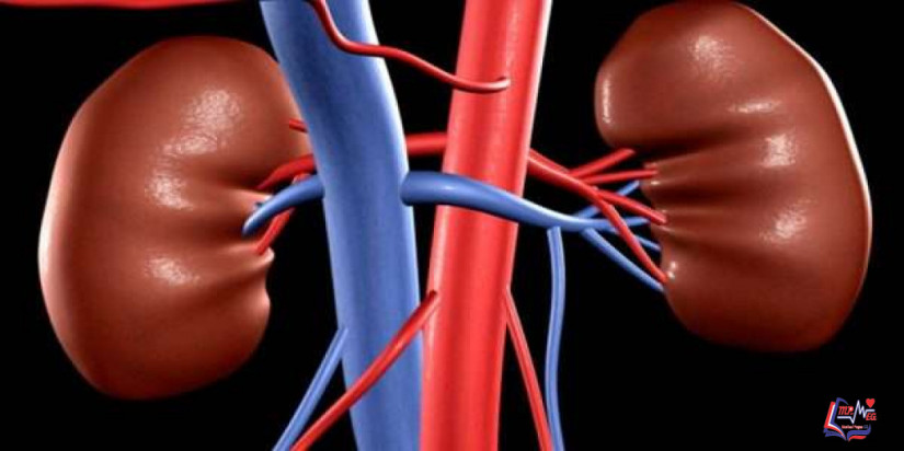 اكياس الكلى Kidney cysts