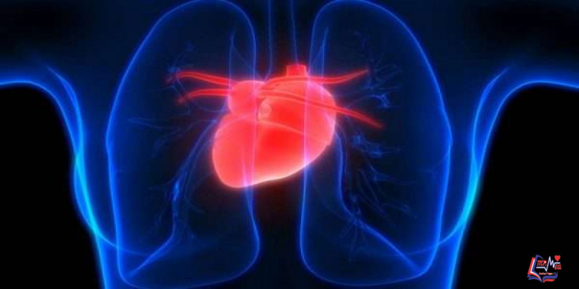 ارتجاع الصمام الأبهري Aortic valve regurgitation