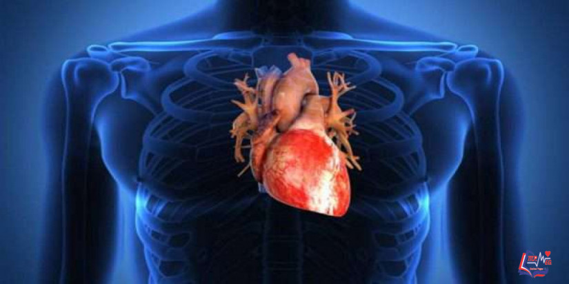الصدمة القلبية Cardiogenic Shock