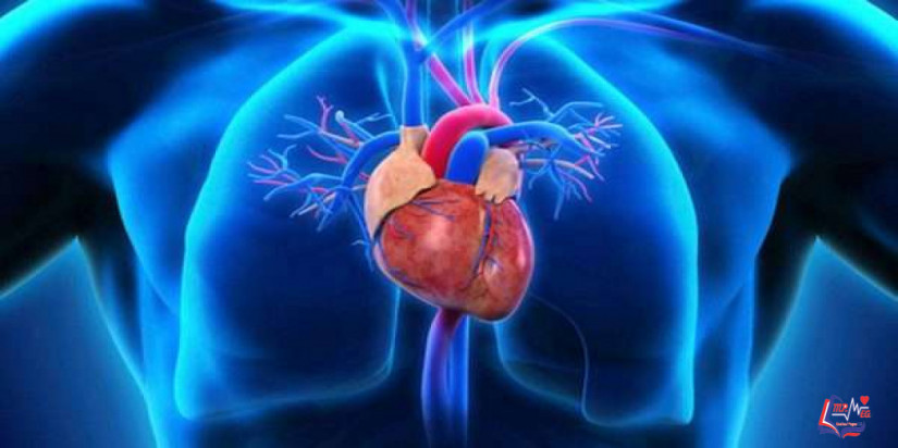 اعتلال عضلة القلب التضخمي Hypertrophic cardiomyopathy