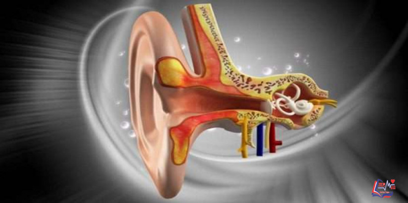 اضطرابات التوازن الدهليزي Vestibular  Balance Disorders
