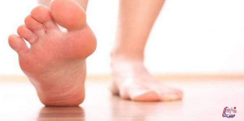 النسيج الجلدي السميك