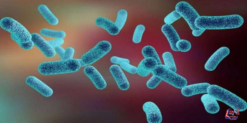 عدوى المطثية العسيرة Clostridium difficile infection