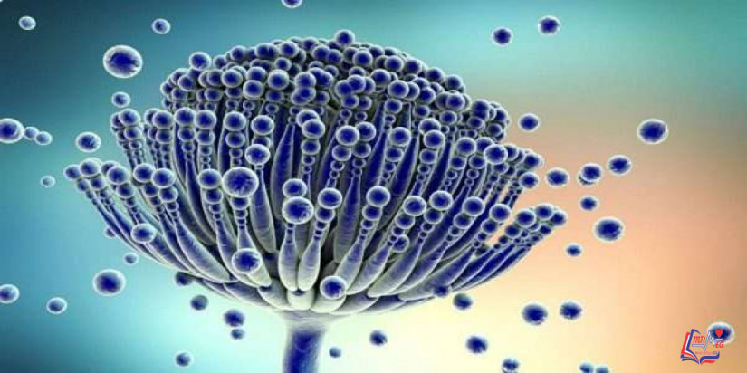 داء الرشاشيات Aspergillosis