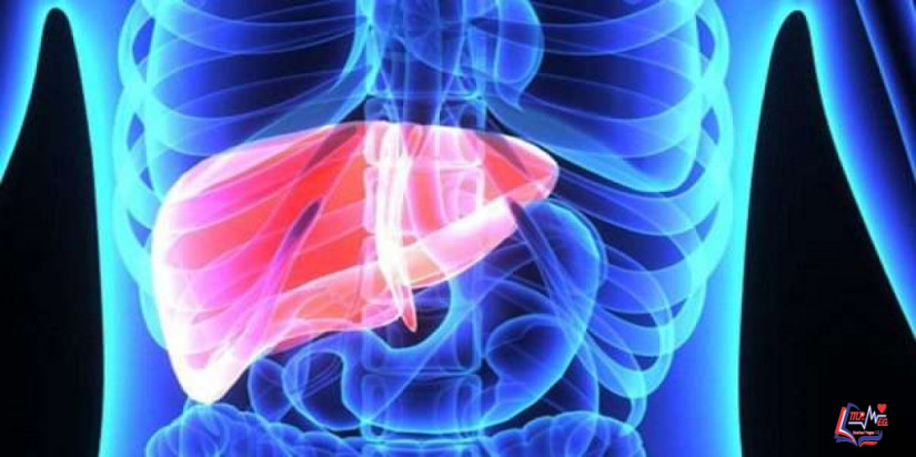 تضخم الكبد Enlarged liver