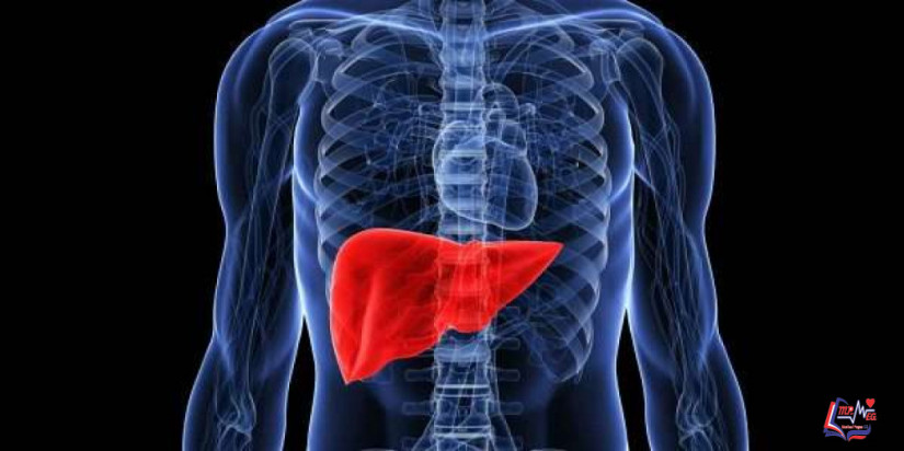 الفشل الكبدي الحاد Acute liver failure