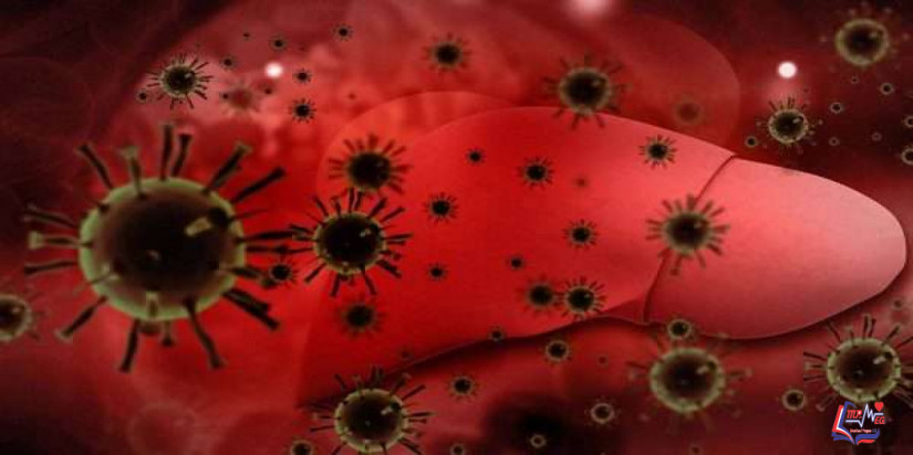 التهاب الكبد ب Hepatitis B