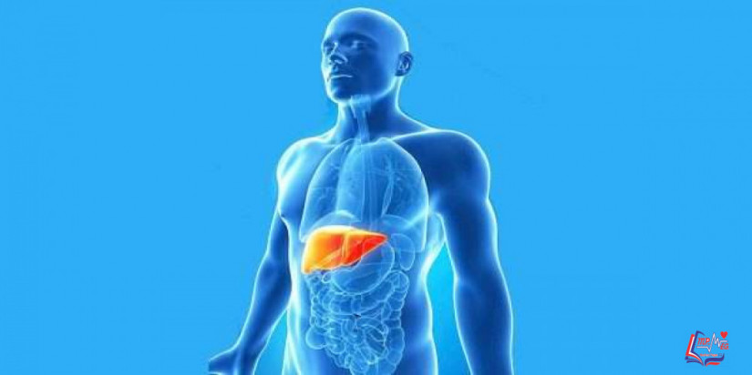 التهاب الكبد الوبائي أ Hepatitis A