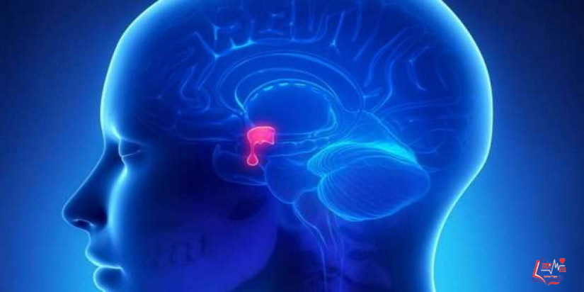اورام الغدة النخامية Pituitary tumors