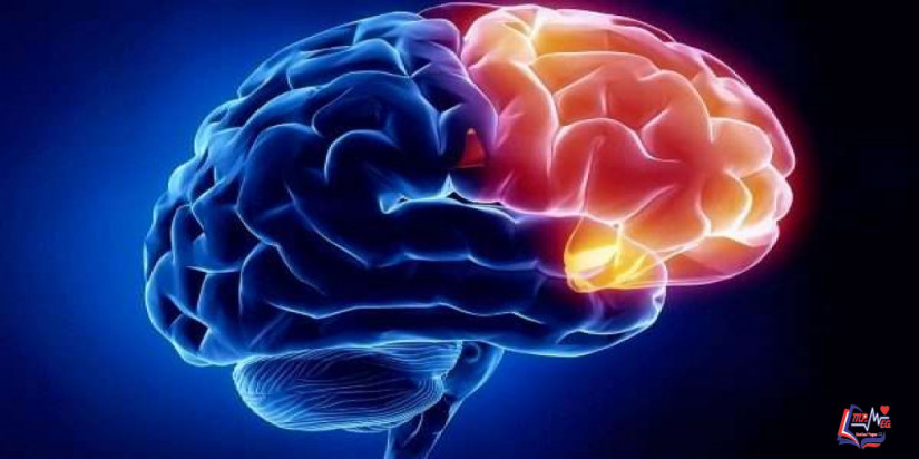 نوبات الفص الجبهي Frontal lobe seizures