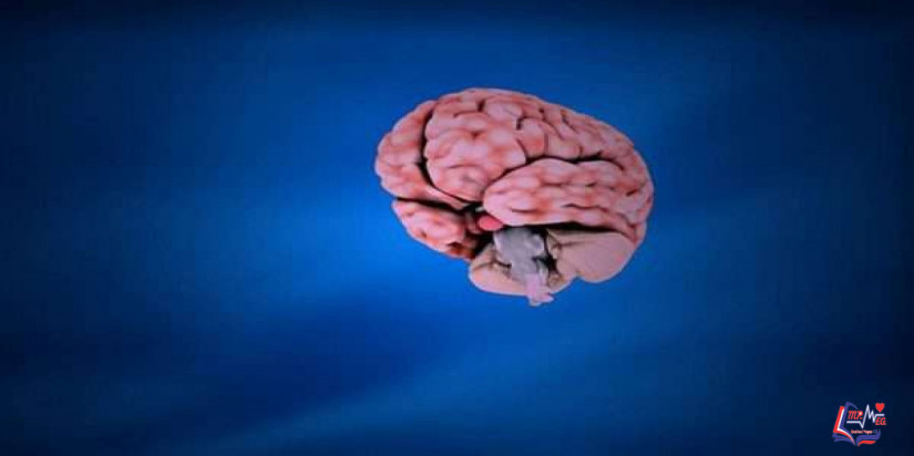 مرض هنتنغتون Huntingtons disease