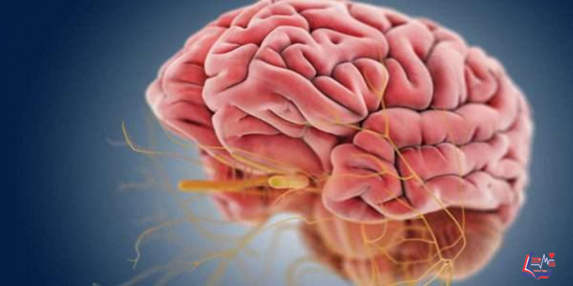 ارتجاج المخ Brain concussion