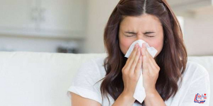 حساسية الفطريات Mold Allergy