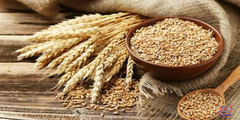 حساسية القمح Wheat allergy