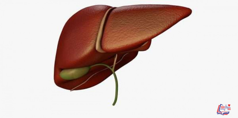 سرطان القناة الصفراوية Cholangiocarcinoma
