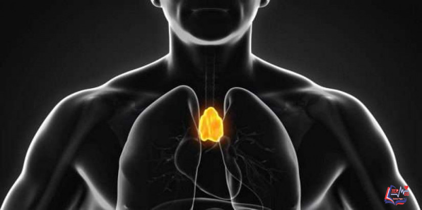 ورم الغدة الزعترية thymoma