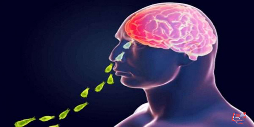 عدوى الاميبا Naegleria infection