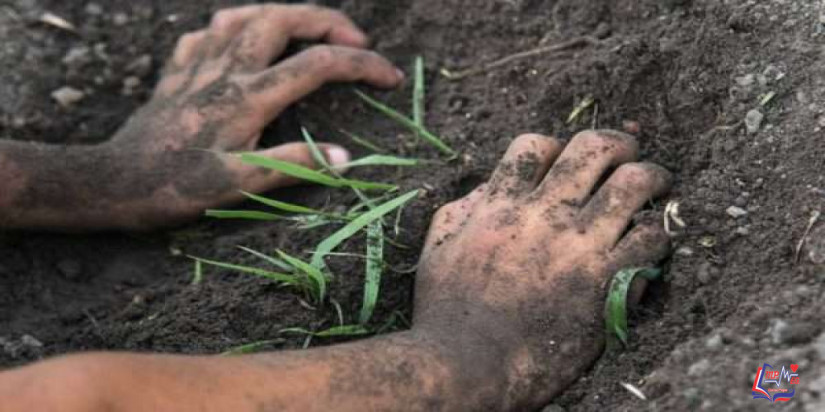 مرض الراعوم Melioidosis